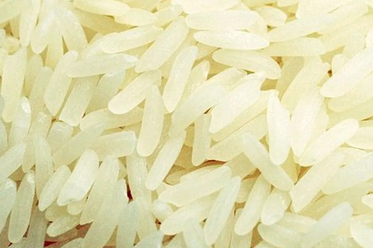 Plato de arroz sin marcas de gimnasio